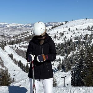 Hestra Voss Ski Mittens